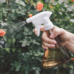 Small Watering Pot Plastic Transparent Spray Pot Gardening Tools Watering Kettle Watering Home Small Watering Pot