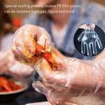 Disposable Food PE Gloves Cosmetic And Sanitary Film Catering And Barbecue Gloves 100 Pieces / Bag Transparent Average Size