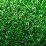 2cm Simulation Lawn Artificial Grassland Green Mat Balcony Courtyard Plastic False Turf Three Color Grass Width 2m * Length 25m With Gum Pack