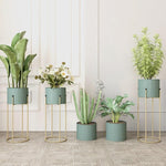 Nordic Iron Flower Rack Storage Flower Rack Indoor Living Room Simple Light Luxury Flower Rack Balcony Green Pineapple Flower Pot Rack Floor Type Blue Small [iron Bucket]