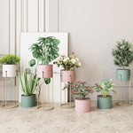 Nordic Iron Flower Rack Storage Flower Rack Indoor Living Room Simple Light Luxury Flower Rack Balcony Green Pineapple Flower Pot Rack Floor Type Blue Small [iron Bucket]