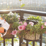 Balcony Hanging Flower Rack, Iron Railing, Guardrail, Windowsill, Green Rose Hanging Orchid Flower Pot Hanger, Black Thickened Mesh Plate, Three Sets