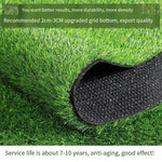 2.5cm Summer Grass Double Layer Simulated Lawn Mat Fake Grass Green Plant Green Artificial Plastic Turf Carpet