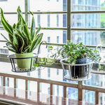 Flower Rack Iron Balcony Railing Wall Hanging Orchid Green Pineapple Gardening Flower Pot Rack Antique Copper -- [bold Screen Version]