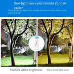 Dual Color Solar Lamp Projection Lamp Household Waterproof Outdoor Street Lamp Villa Courtyard Sub Lamp LED Energy-saving Light Remote Control